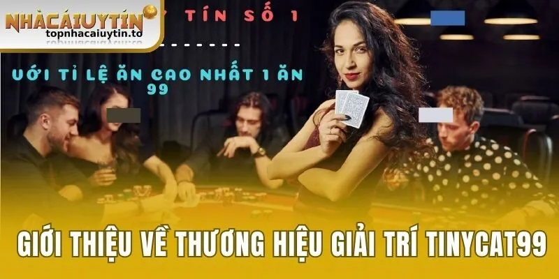Đôi nét giới thiệu về thương hiệu giải trí Tinycat99