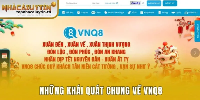 Những khái quát chung về VNQ8